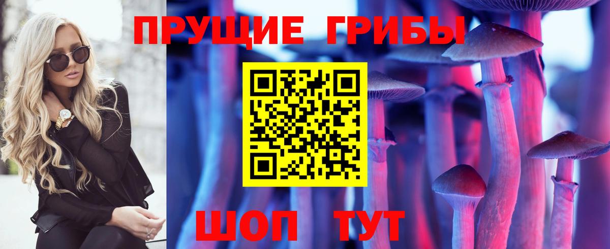 Псилоцибиновые грибы GOLDEN TEACHER  Вход с VPN  Кострома 